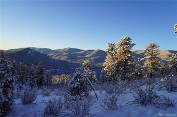 Delwood Dr, Bailey, CO 80421