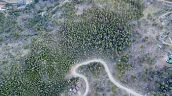 Delwood Dr, Bailey, CO 80421