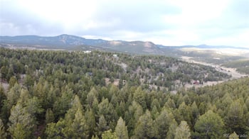 Delwood Dr, Bailey, CO 80421