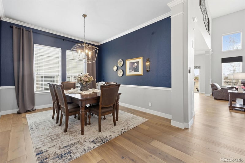 23001 Cleveland Dr, Parker, CO 80138