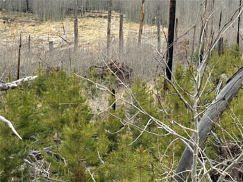 Lot 1960 Hilda Ln, Fort Garland, CO 81133