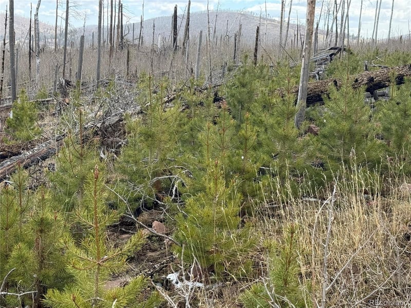 Lot 1960 Hilda Ln Lot 1960, Fort Garland, CO 81133