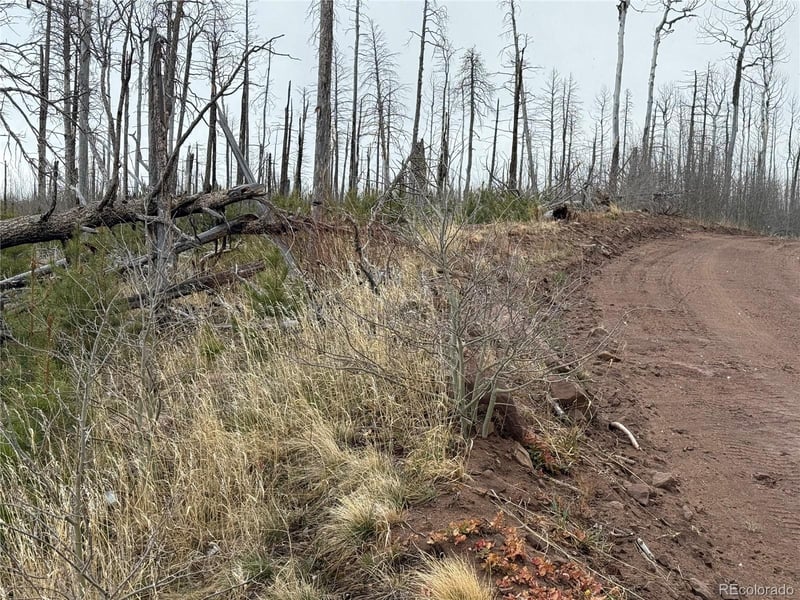Lot 1960 Hilda Ln Lot 1960, Fort Garland, CO 81133