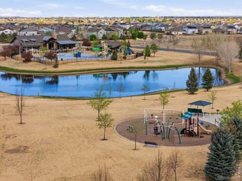 6528 Richland Ave, Timnath, CO 80547