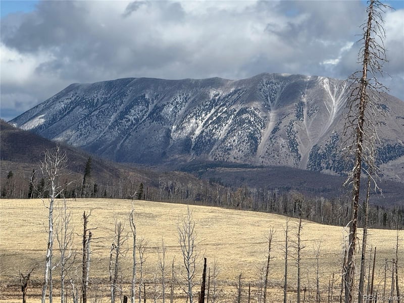 Lot 2415 Petito Dr, Fort Garland, CO 81133
