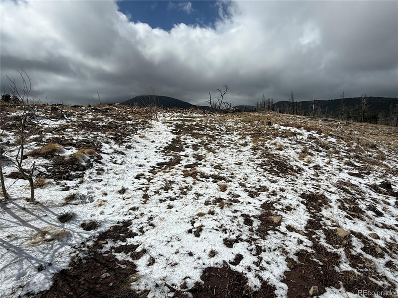 Lot 2415 Petito Dr, Fort Garland, CO 81133