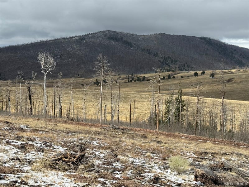 Lot 2415 Petito Dr, Fort Garland, CO 81133