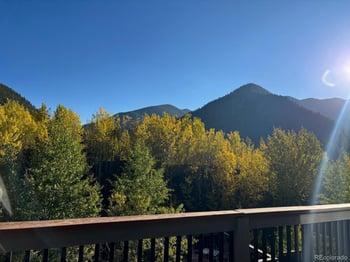 188 Clear Creek Dr, Empire, CO 80438