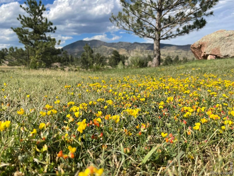 294 Wedge Rock Dr, Lyons, CO 80540