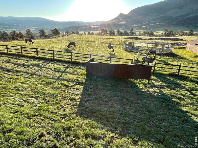 294 Wedge Rock Dr, Lyons, CO 80540