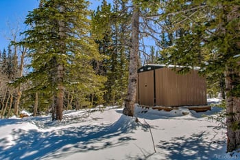 472 Prunes Pl, Fairplay, CO 80440