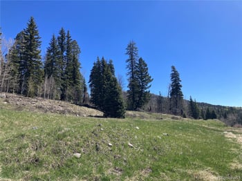 222 Lost Valley Dr, Creede, CO 81130