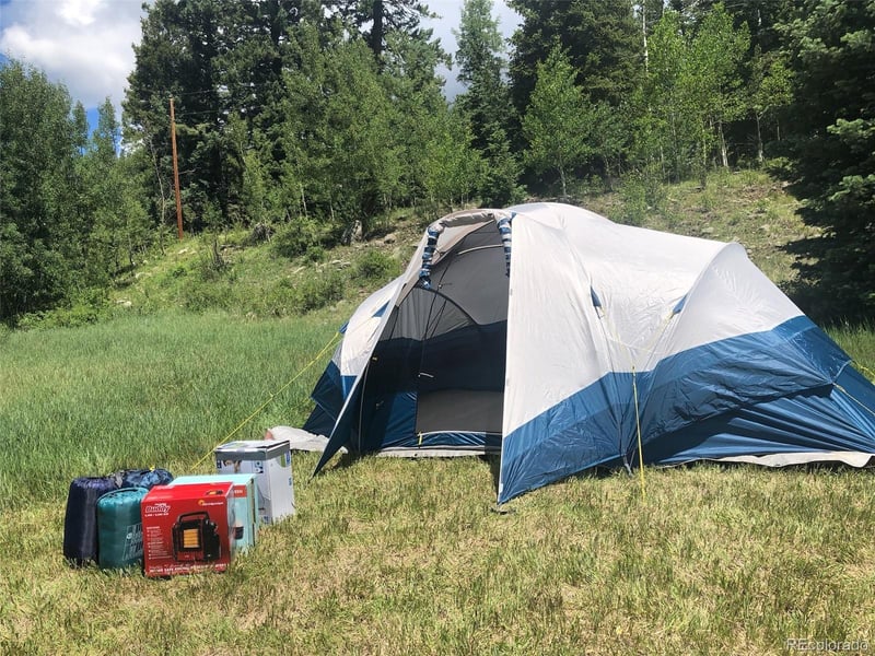 222 Lost Valley Dr, Creede, CO 81130