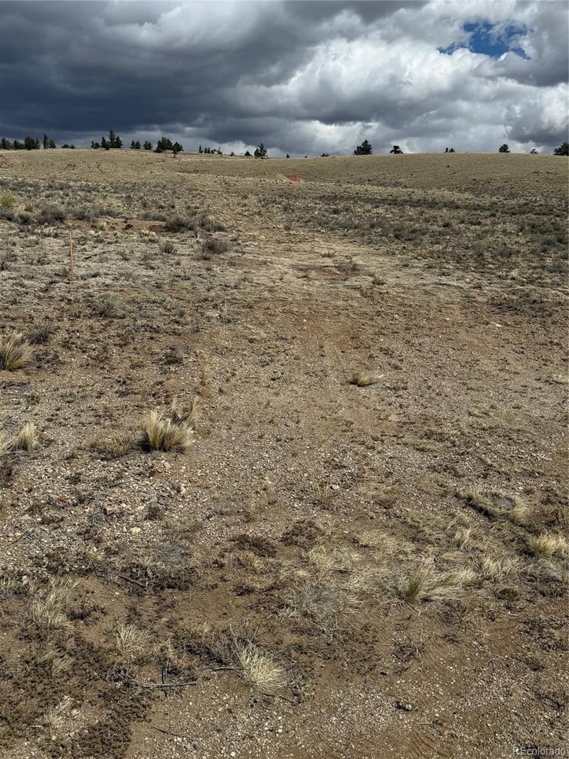 69 Buggy Ct, Hartsel, CO 80449