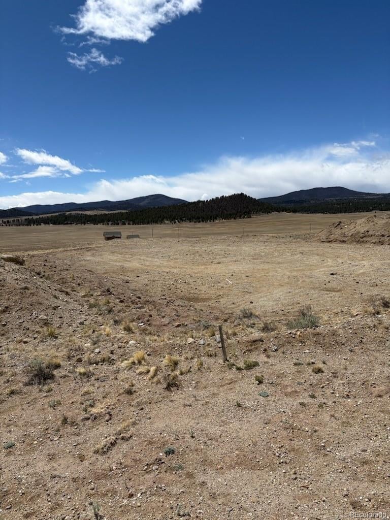 69 Buggy Ct, Hartsel, CO 80449