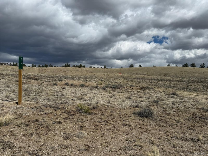 69 Buggy Ct, Hartsel, CO 80449