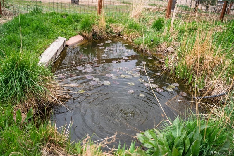 5430 Murr Rd, Peyton, CO 80831