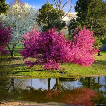 7000 Quincy Ave #217, Denver, CO 80237