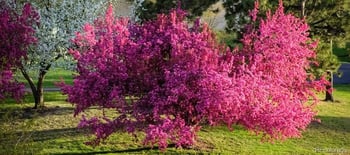 7000 Quincy Ave #217, Denver, CO 80237