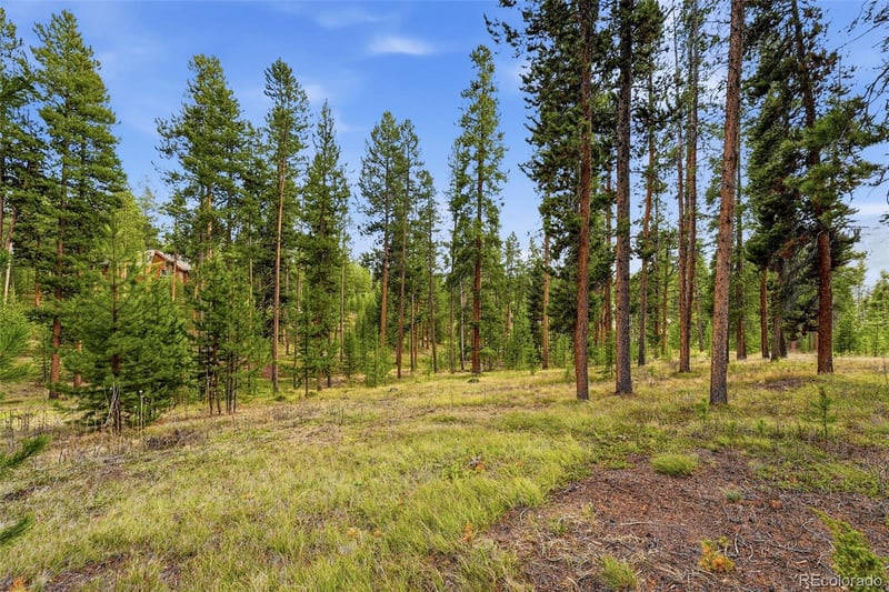 930 Gcr 511/golf Course Cir, Tabernash, CO 80478