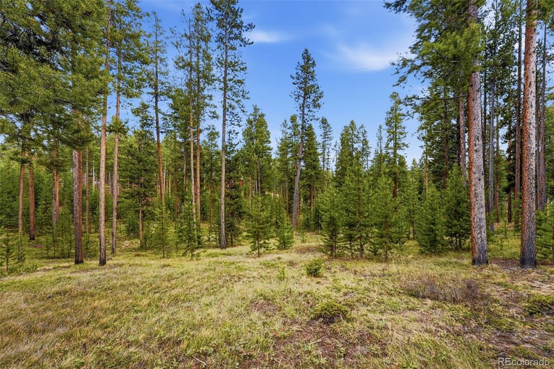 930 Gcr 511/golf Course Cir, Tabernash, CO 80478