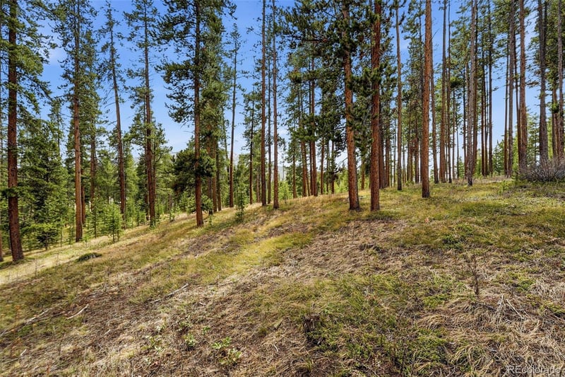 930 Gcr 511/golf Course Cir, Tabernash, CO 80478