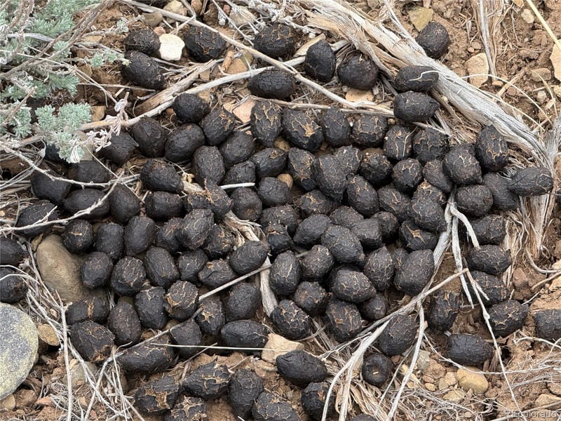 Lot 297 Boothby Ln, Fort Garland, CO 81133