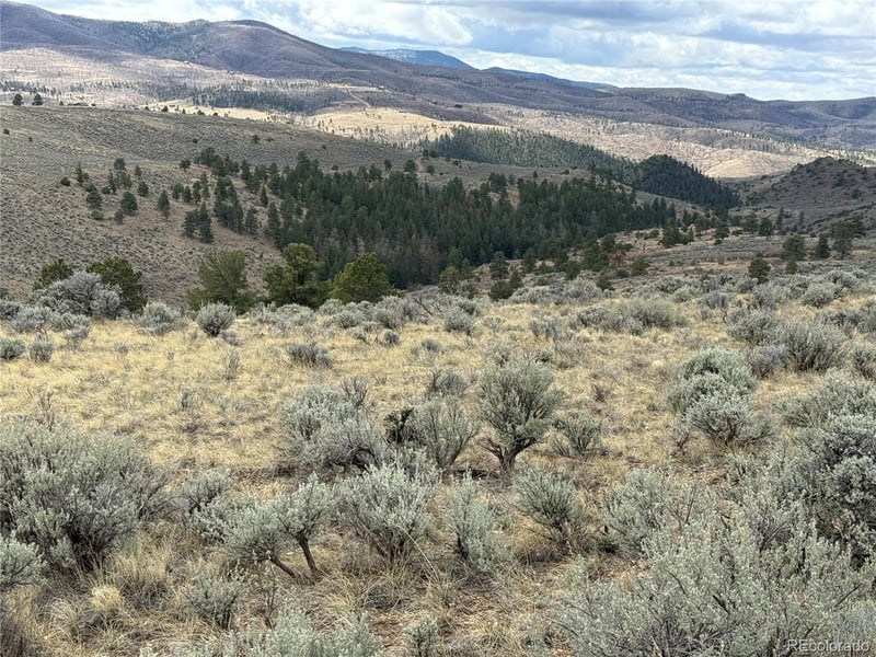 Lot 297 Boothby Ln Lot 297, Fort Garland, CO 81133