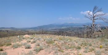 3772 Soubry Pl, Fort Garland, CO 81133