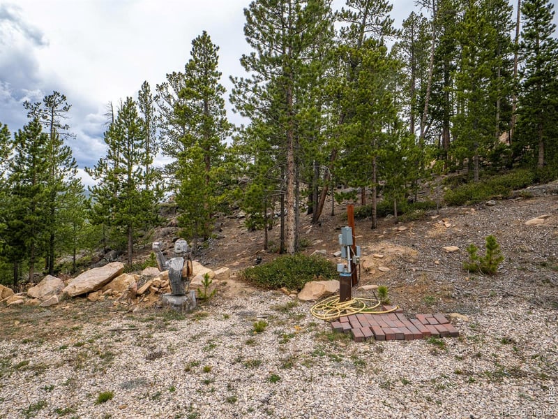 120 Shuswap Ct, Red Feather Lakes, CO 80545