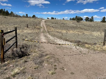 51 Singletree Ln, Hartsel, CO 80449