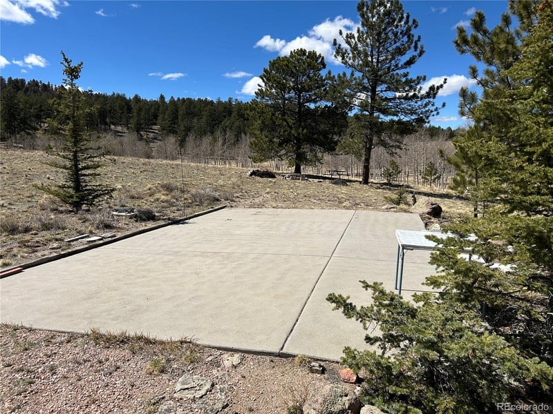 51 Singletree Ln, Hartsel, CO 80449