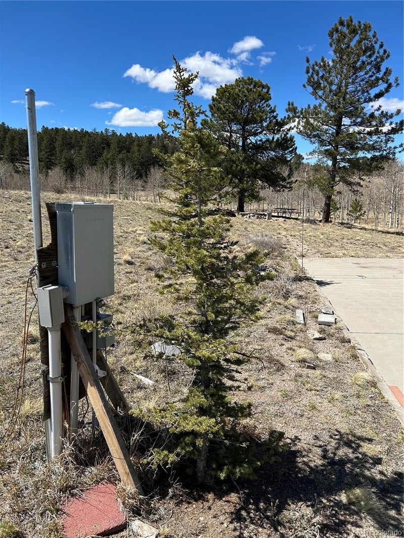 51 Singletree Ln, Hartsel, CO 80449