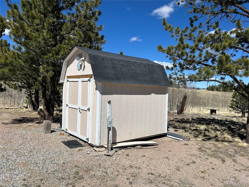 51 Singletree Ln, Hartsel, CO 80449