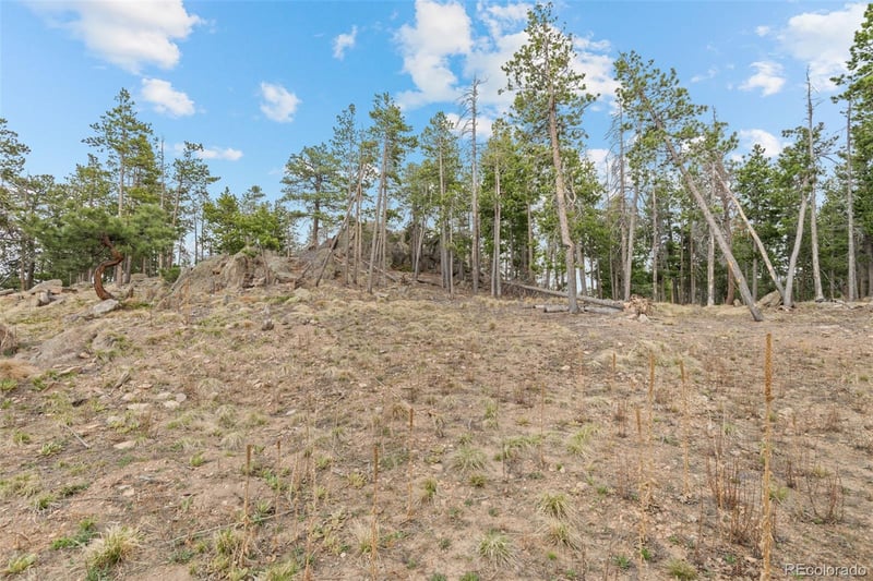 10157 Horizon View Dr, Morrison, CO 80465