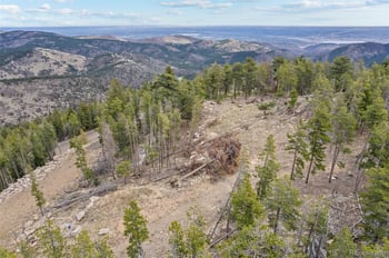 10157 Horizon View Dr, Morrison, CO 80465