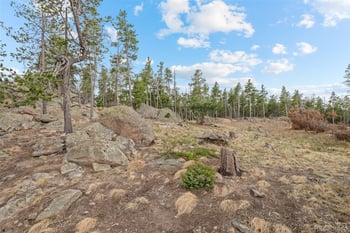 10157 Horizon View Dr, Morrison, CO 80465