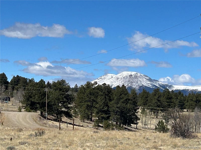 Singletree Rd, Buena Vista, CO 81211