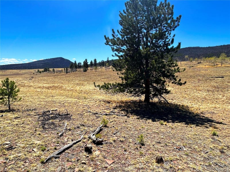 Singletree Rd, Buena Vista, CO 81211
