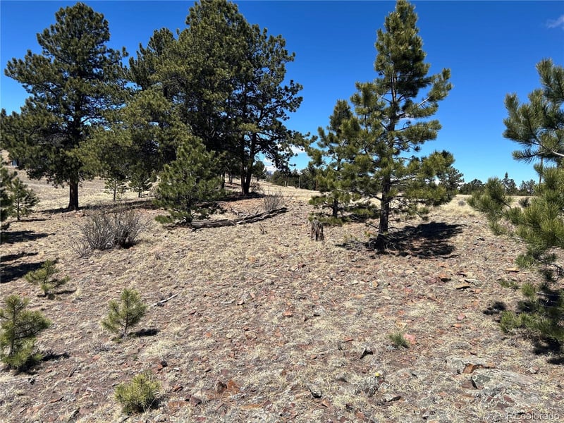 Singletree Rd, Buena Vista, CO 81211