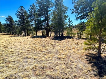 Singletree Rd, Buena Vista, CO 81211