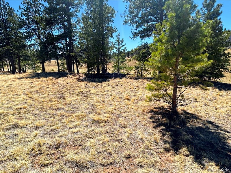 Singletree Rd, Buena Vista, CO 81211