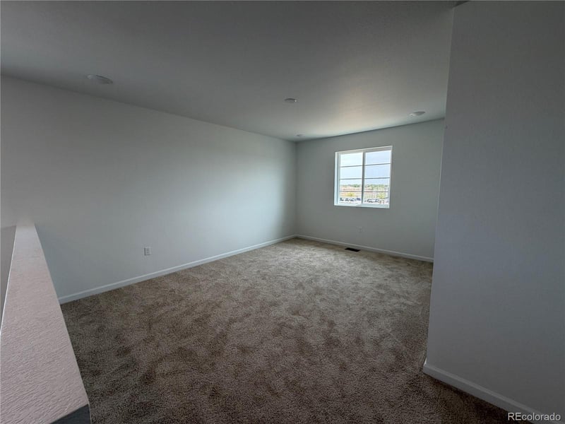 6446 Ankina Dr, Windsor, CO 80528