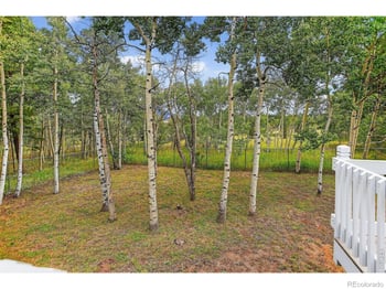 233 Deer Cir, Black Hawk, CO 80422