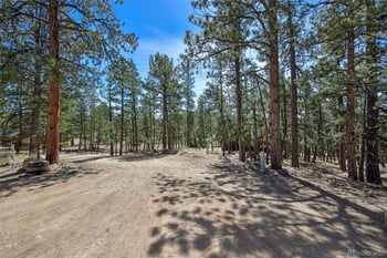 42 Hannah Cir, Westcliffe, CO 81252