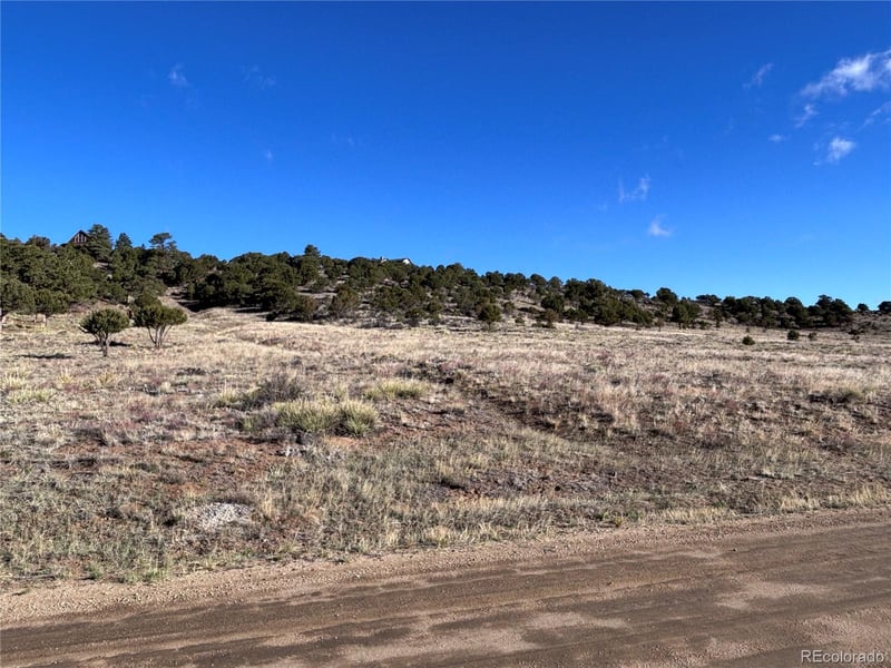 30499 Valley Vw, Buena Vista, CO 81211