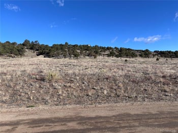 30499 Valley Vw, Buena Vista, CO 81211