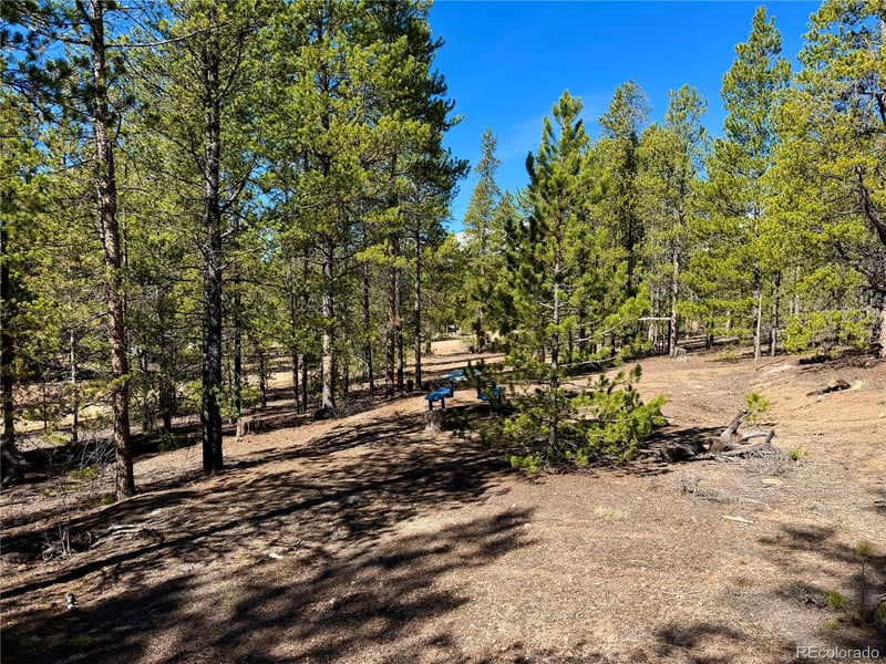 341 Aspen Dr, Leadville, CO 80461
