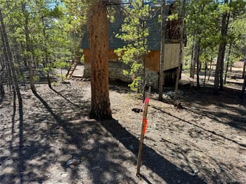 341 Aspen Dr, Leadville, CO 80461