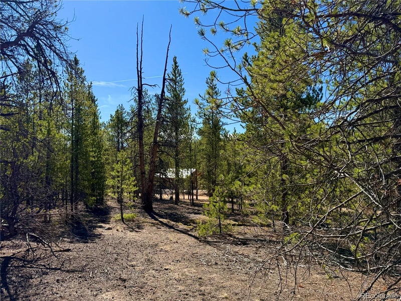 341 Aspen Dr, Leadville, CO 80461